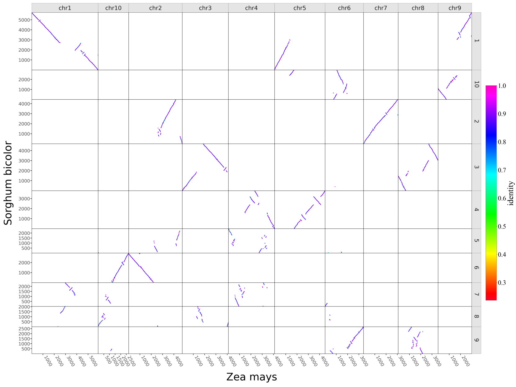 sb_zm.collinearity.identity.png