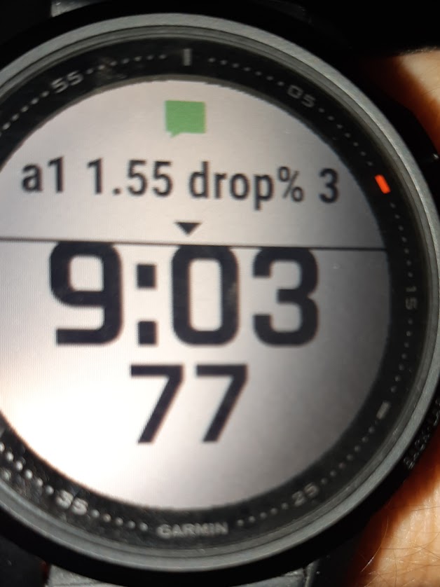 garmin_alpha1_notification.jpg