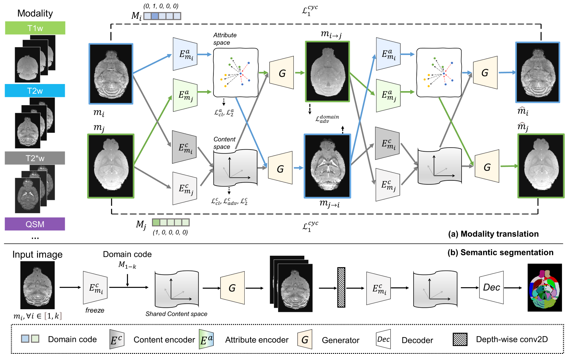 MouseGAN-pp-workflow.png