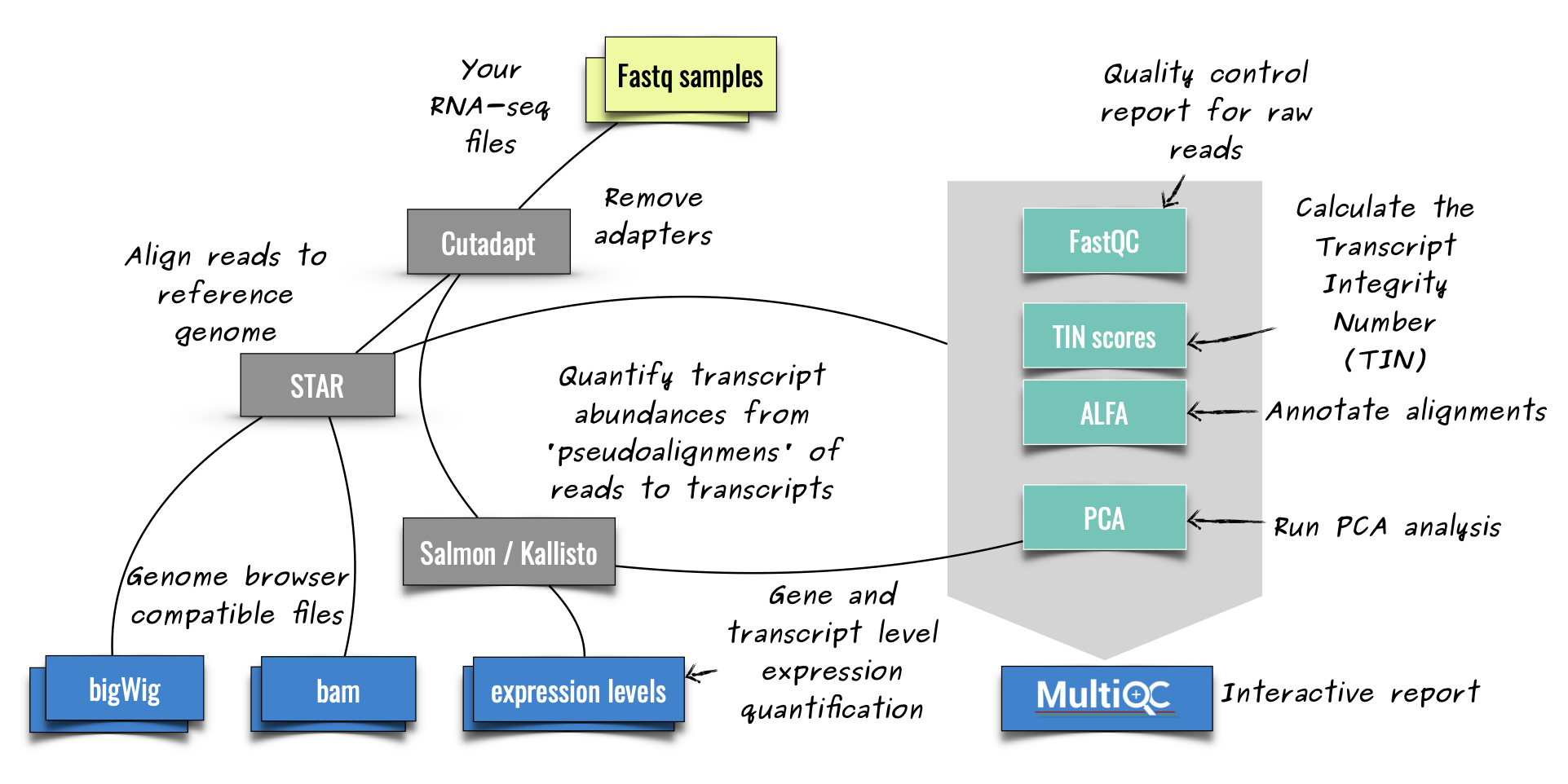 zarp_schema.png